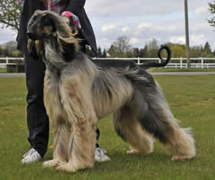 Harry at 14 Months