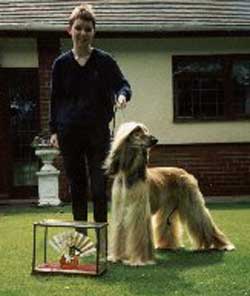 Ch Saxonmill Jennyanydots