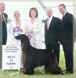 Ch Saxonmill Rum Tum Rio JW